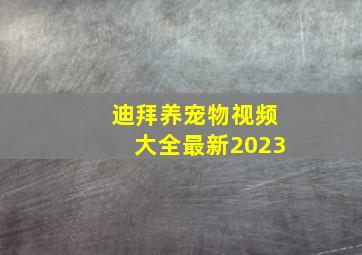 迪拜养宠物视频大全最新2023