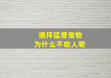 迪拜猛兽宠物为什么不咬人呢