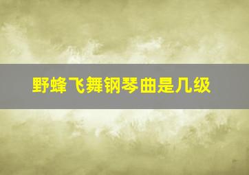 野蜂飞舞钢琴曲是几级