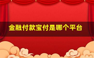 金融付款宝付是哪个平台