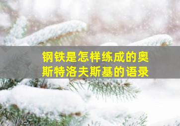 钢铁是怎样练成的奥斯特洛夫斯基的语录