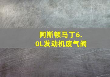 阿斯顿马丁6.0L发动机废气阀