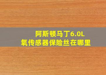 阿斯顿马丁6.0L氧传感器保险丝在哪里