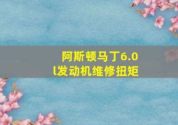 阿斯顿马丁6.0l发动机维修扭矩