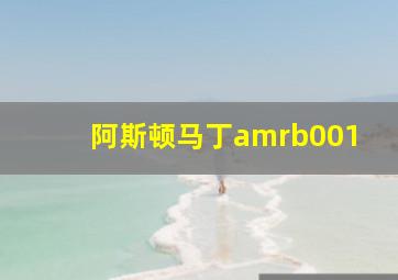 阿斯顿马丁amrb001