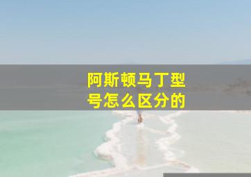 阿斯顿马丁型号怎么区分的