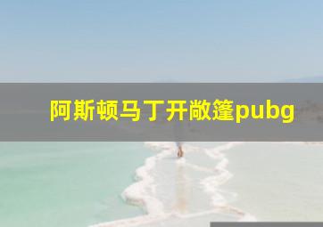 阿斯顿马丁开敞篷pubg