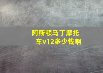 阿斯顿马丁摩托车v12多少钱啊