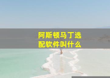 阿斯顿马丁选配软件叫什么