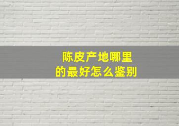 陈皮产地哪里的最好怎么鉴别