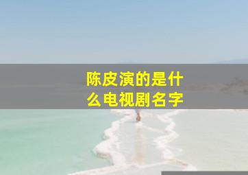 陈皮演的是什么电视剧名字