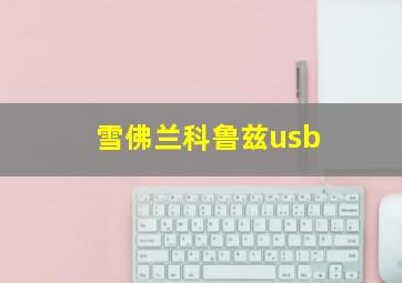 雪佛兰科鲁兹usb