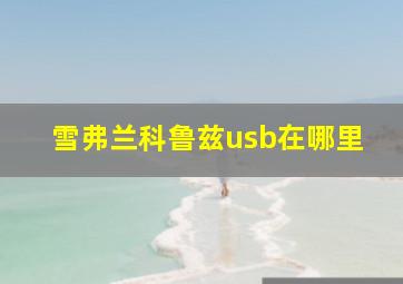 雪弗兰科鲁兹usb在哪里