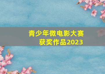 青少年微电影大赛获奖作品2023