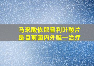 马来酸依那普利叶酸片是目前国内外唯一治疗