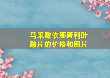 马来酸依那普利叶酸片的价格和图片