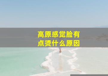 高原感觉脸有点烫什么原因