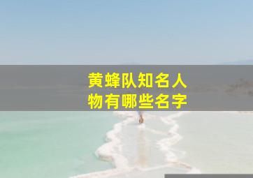 黄蜂队知名人物有哪些名字