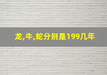 龙,牛,蛇分别是199几年