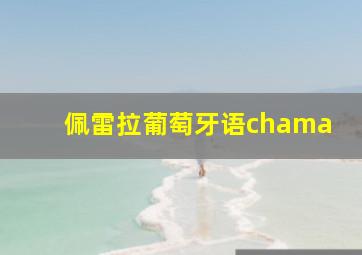 佩雷拉葡萄牙语chama