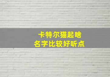 卡特尔猫起啥名字比较好听点