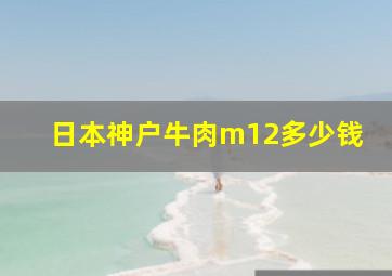 日本神户牛肉m12多少钱