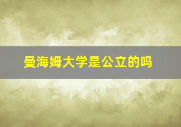 曼海姆大学是公立的吗