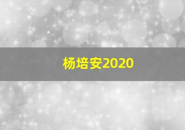 杨培安2020