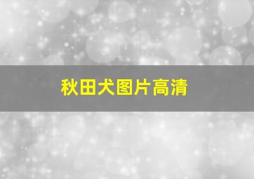 秋田犬图片高清