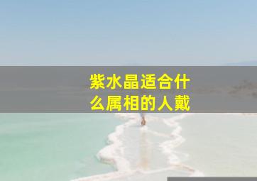 紫水晶适合什么属相的人戴